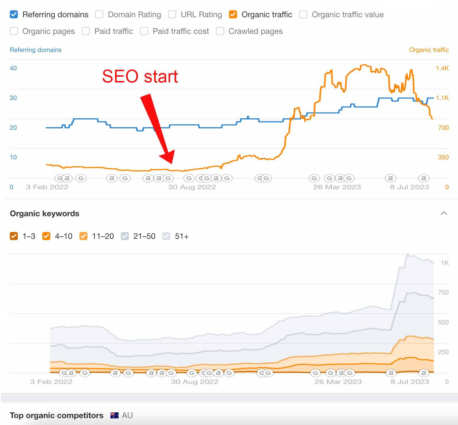 automotive seo case study